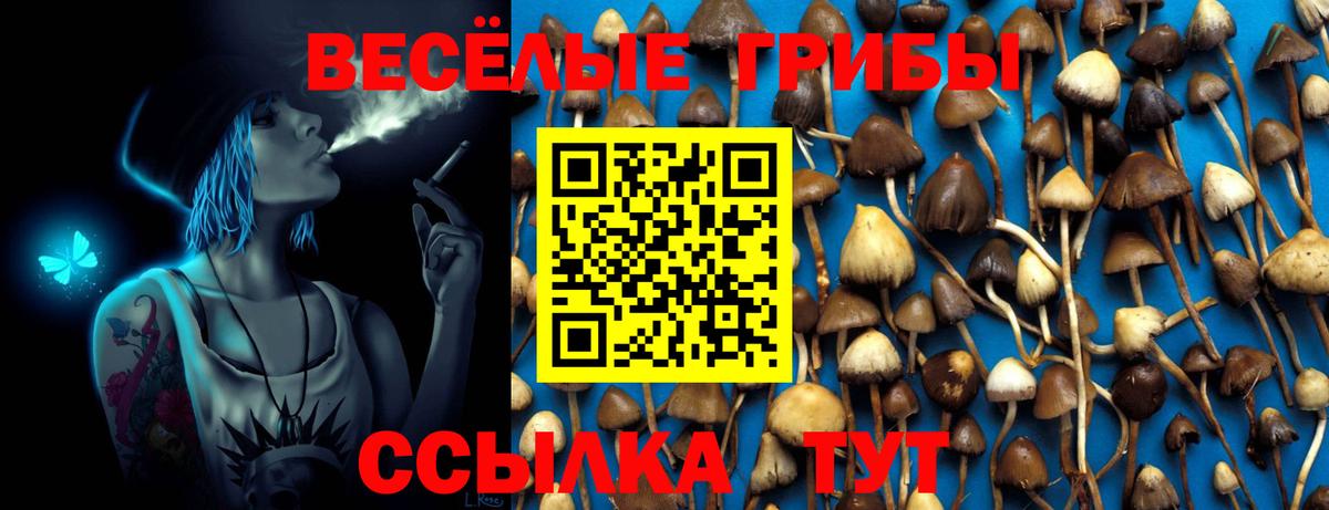 Галлюциногенные грибы Psilocybe  Вход с VPN  Камышлов  Галлюциногенные грибы мухоморы 